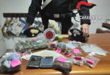 Amaseno, rinvenuti 360 gr. Marijuana e 40 gr. Hashish. Arrestato 33enne