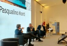 “Noi, il Mediterraneo”, un’unica Spa per gestire la portualità italiana