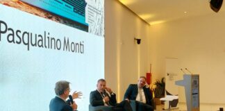 “Noi, il Mediterraneo”, un’unica Spa per gestire la portualità italiana