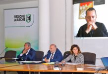 Insediato il tavolo della nautica voluto dalla Regione Marche