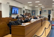 Campania, dal Consiglio ok a variazione di bilancio e pdl su pet therapy