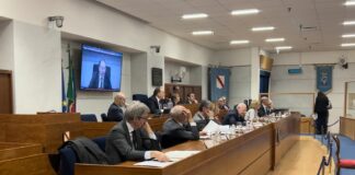 Campania, dal Consiglio ok a variazione di bilancio e pdl su pet therapy