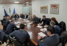 Fvg, Amirante “Regione pronta a istituire tavolo permanente logistica”