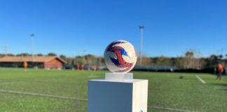 Basta violenze di genere, Lnd al fianco delle donne