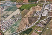 Oltre 14.000 alberi per riforestare il parco del bacino di Malcontenta