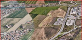 Oltre 14.000 alberi per riforestare il parco del bacino di Malcontenta