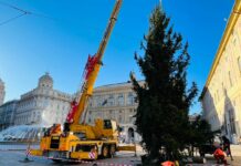 Arrivato in piazza De Ferrari a Genova il grande albero di Natale