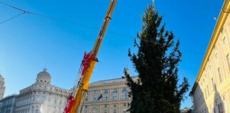 Arrivato in piazza De Ferrari a Genova il grande albero di Natale