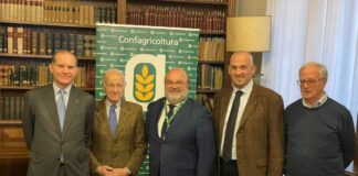 Olio Evo, accordo Confagricoltura-Unapol per slancio al comparto