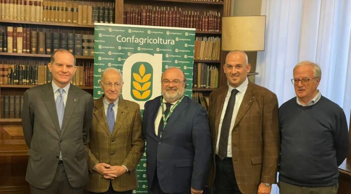 Olio Evo, accordo Confagricoltura-Unapol per slancio al comparto