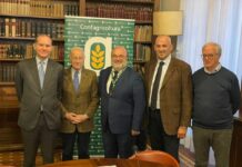 Olio Evo, accordo Confagricoltura-Unapol per slancio al comparto