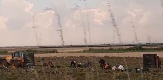 Sfruttamento del lavoro e caporalato, 16 indagati tra Caltanissetta e Agrigento