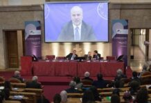 Schillaci “Progressi nella ricerca neuroscientifica e neuroriabilitativa”