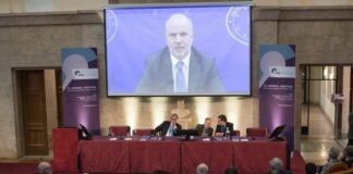 Schillaci “Progressi nella ricerca neuroscientifica e neuroriabilitativa”