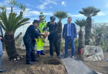 Anas e Carabinieri piantano “Albero di Falcone” nel Catanese
