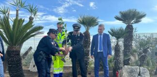 Anas e Carabinieri piantano “Albero di Falcone” nel Catanese