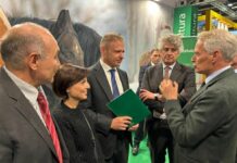 Fieracavalli, Confagricoltura “Urgente rilanciare la filiera equina italiana”