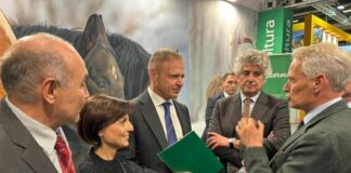 Fieracavalli, Confagricoltura “Urgente rilanciare la filiera equina italiana”