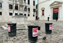 Un vademecum per la corretta convivenza con i gabbiani reali