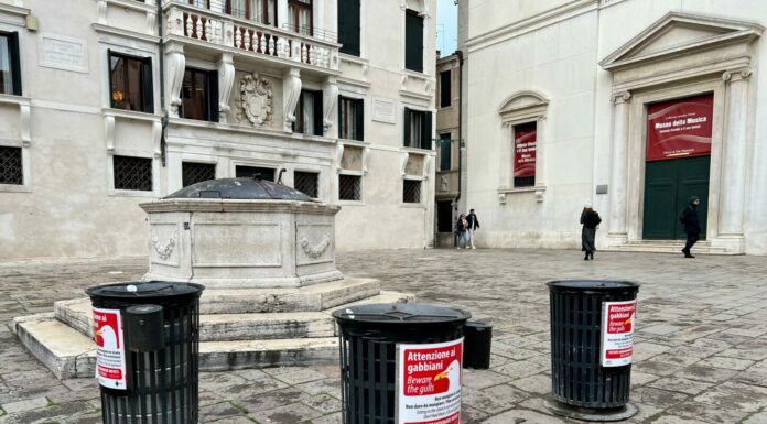 Un vademecum per la corretta convivenza con i gabbiani reali