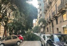 Palermo, alberi caduti per il forte vento in città / VIDEO