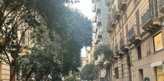 Palermo, alberi caduti per il forte vento in città / VIDEO