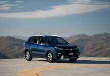 Suzuki, edizione speciale Yoru per Vitara Hybrid e S-Cross Hybrid