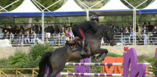 Coppa degli Assi, Bruno Chimirri vince il premio assessorato al Turismo