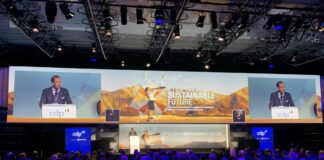 Cdp, sostenibilità al centro per il futuro dell’economia globale
