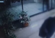 17 furti in appartamento, sgominata banda a Milano