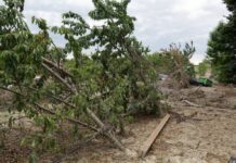 Da Unicredit sostegno ad aziende agricole Siciliane per eventi calamitosi 2023