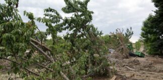 Da Unicredit sostegno ad aziende agricole Siciliane per eventi calamitosi 2023