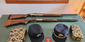 Caccia illegale al Parco nazionale d’Aspromonte, due denunciati