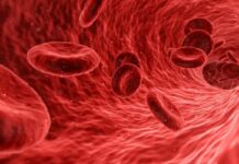 Leucemia linfoblastica acuta, in Italia la terapia Car-T di Gilead