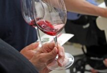 Etichettatura vino, Caner “Da Lollobrigida rassicurazioni su decreto”