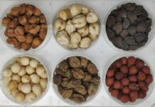 Increase, al via iscrizioni 4^ round Citizen Science Experiment