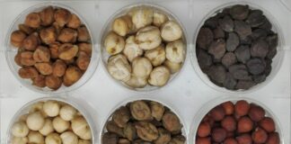 Increase, al via iscrizioni 4^ round Citizen Science Experiment