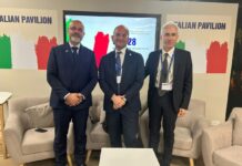 Cop28, Castelli “Adattamento uomo-natura contro cambiamenti climatici”