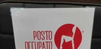 Consiglio comunale di Napoli, “Un posto occupato” contro violenza sulle donne