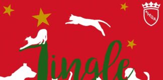 “Jingle Pet” a Roma, festa dedicata alle adozioni di cani e gatti