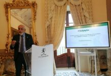 60 anni di storia e un futuro al centro d’Europa, traguardi e sfide di Sicily by Car