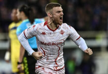 Fiorentina-Verona 1-0, Terracciano e Beltran decisivi