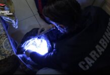 Operazione contro lo spaccio di droga a Catanzaro, 13 arresti