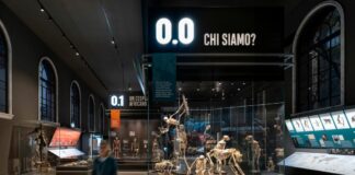 Museo di storia naturale di Milano, svelato allestimento Sala dell’Uomo