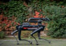 L’Arma dei Carabinieri arruola “Saetta”, primo cane robot