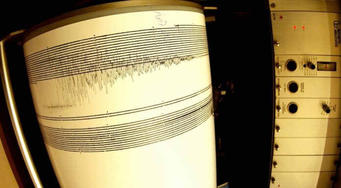 Terremoto, scossa di magnitudo 3.6 in provincia di Reggio Calabria