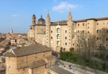 Internazionalizzazione e ricerca, l’Ateneo di Urbino guarda al futuro