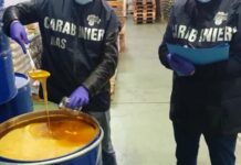 Nas sequestrano 39 tonnellate di dolci tipici natalizi