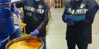 Nas sequestrano 39 tonnellate di dolci tipici natalizi