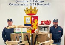 Botti illegali e droga, 1 arresto e 2 denunce a Palermo